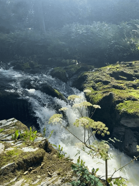 Fasr waterfall in sunlight